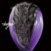 アルバム「D.E.S.I.G.N.」ジャケット