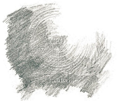 写真はアルバム「CEO -10th Anniversary Deluxe Edition-」ジャケット。