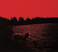 2003年3月にリリースされた「HELL-SEE」。