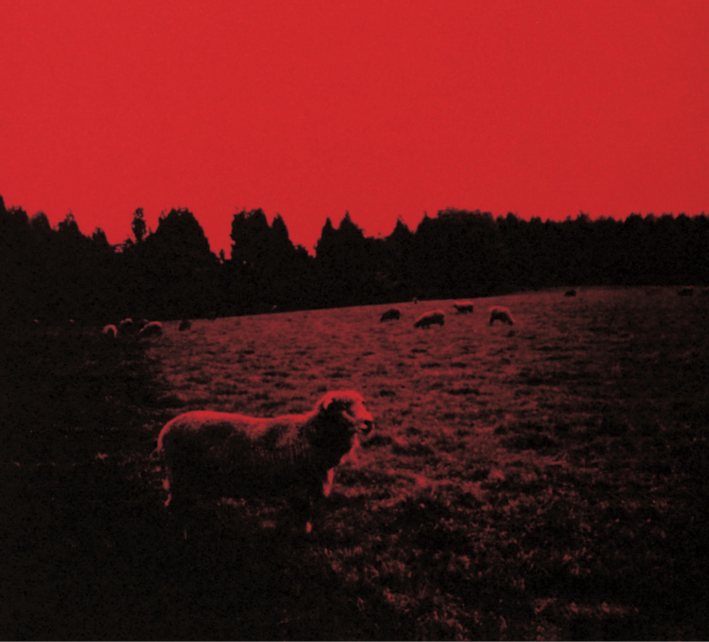 2003年3月にリリースされた「HELL-SEE」。