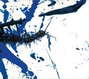 2003年9月にリリースされた「パープルムカデ」。