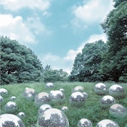 写真はアルバム「カルマ」通常盤ジャケット。