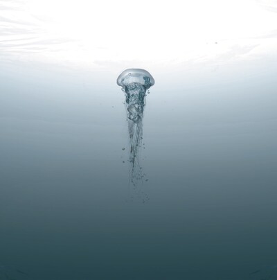 写真はアナログ盤ジャケット。te'のオフィシャルサイトには、盤面の写真も公開されている。