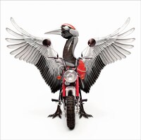 アルバム「つるばむ」CD+DVD仕様ジャケット