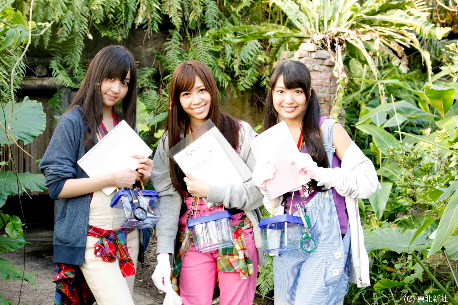 カブトムシ＆チョウ担当の小森美果（写真左）、河西智美（中央）、北原里英（右）。