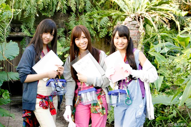 カブトムシ＆チョウ担当の小森美果（写真左）、河西智美（中央）、北原里英（右）。