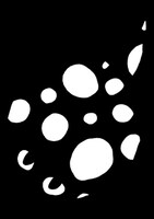 写真はブランドキャラクターの“RAY君”。