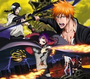 「劇場版BLEACH 地獄篇」メインビジュアル (c)久保帯人／集英社・テレビ東京・dentsu・ぴえろ / (c)劇場版BLEACH製作委員会 2010