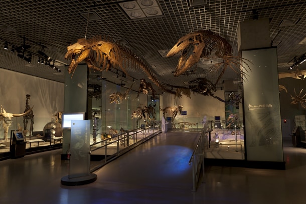 国立科学博物館の館内の写真。