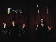 WILDBIRDS & PEACEDRUMS