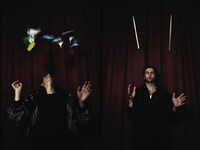 WILDBIRDS & PEACEDRUMS