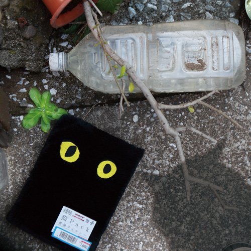 黒猫チェルシー「猫Pack」