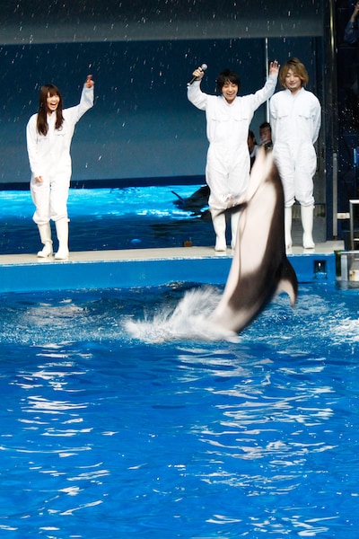 吉岡聖恵（写真左）の指示に応えて見事なジャンプを決めたカマイルカのロロちゃん（写真右から2番目）。