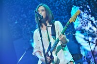 写真は日本武道館公演より。