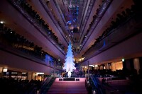 高さ約8mのツリーには、約25万個のスワロフスキーやピンクのリボンで飾られたミラーボールなどが飾られている。