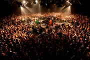 写真は昨日のライブの模様。