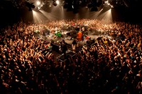 写真は昨日のライブの模様。