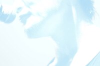 「-SILENCE- TSUKASA MIYOSHI PHOTO EXIBITION」展示写真の1枚。