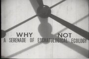 映像作品「Why not（A Serenade of Eschatological Ecology）」の1シーン。