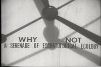 映像作品「Why not（A Serenade of Eschatological Ecology）」の1シーン。