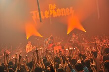 the telephones「SUPER DISCO Hits 3!!! ～ULTIMATE DISCO!!!～」12月8日公演の模様。