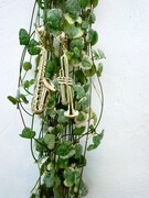 写真は「ジャズピアス」。