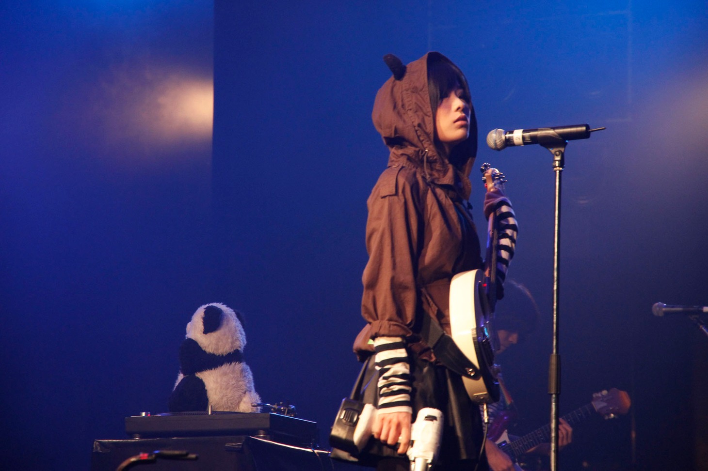 PANDA 1/2