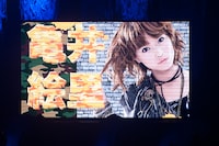 「モーニング娘。コンサートツアー2010 秋～ライバルサバイバル～ 亀井絵里・ジュンジュン・リンリン卒業スペシャル」オープニングムービーの亀井絵里。