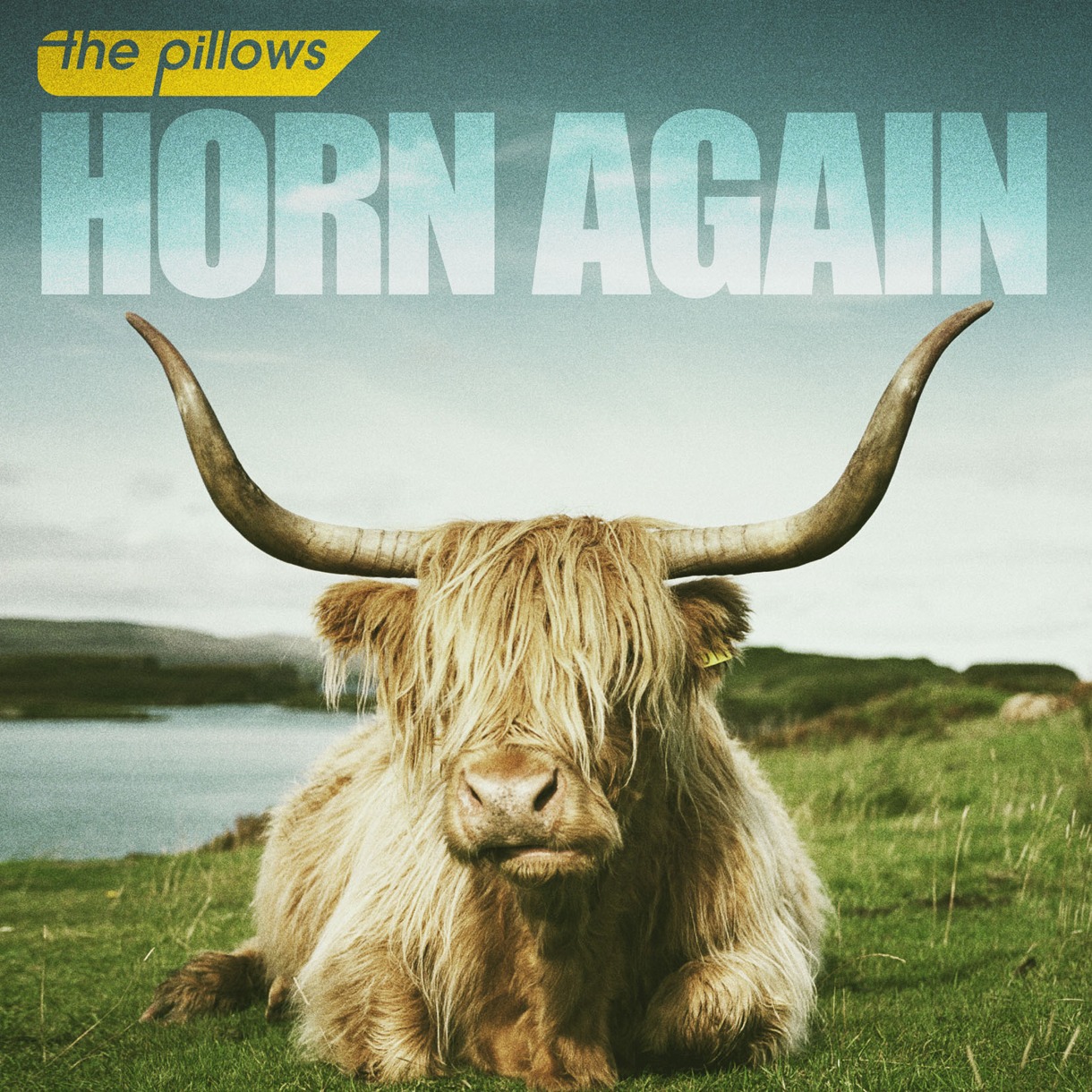 ニューアルバム「HORN AGAIN」（写真）には最新シングル「Movement」を含む10曲を収録。
