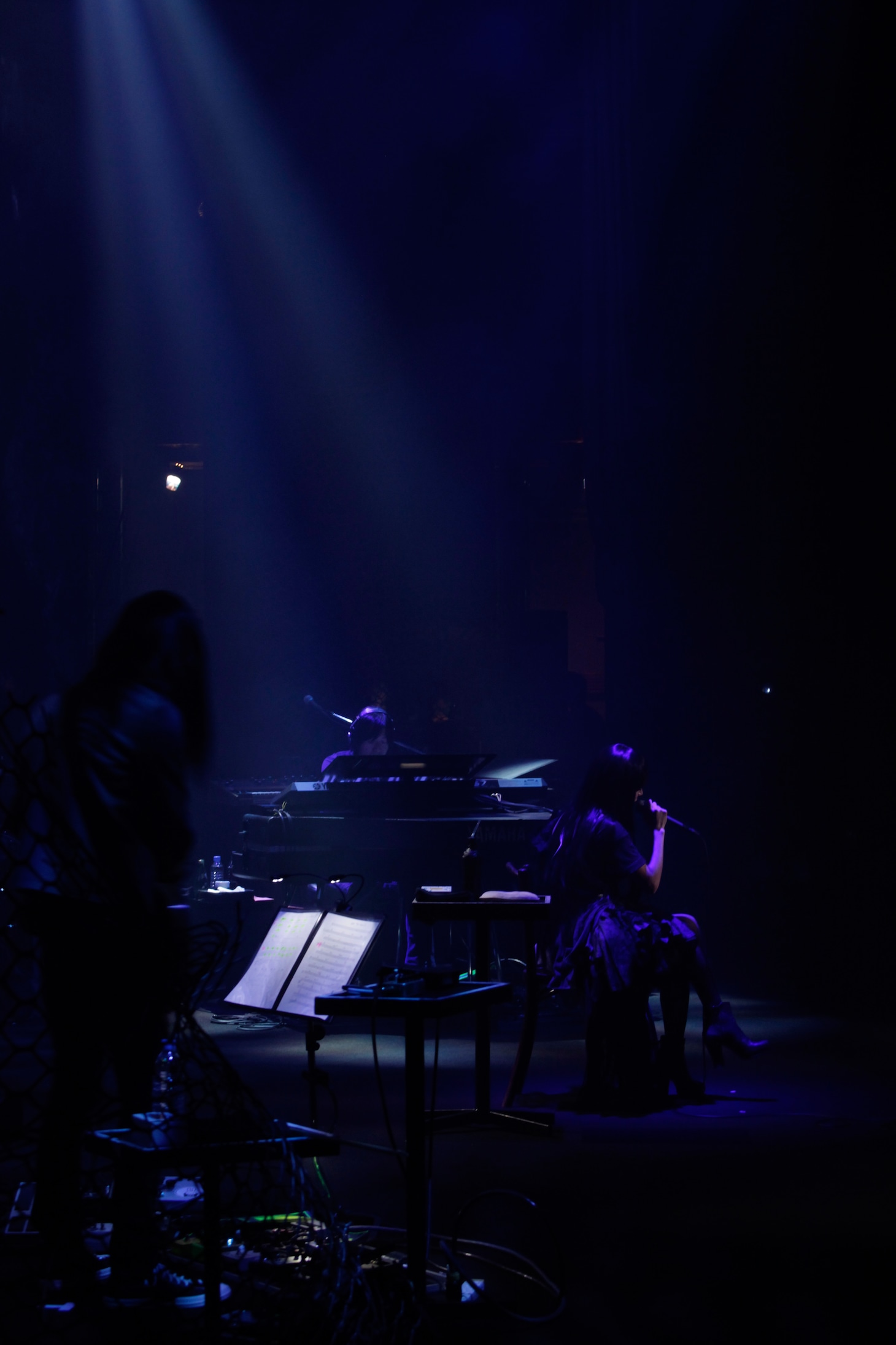 写真は「Lily Chou-Chou 2010.12.15 Live“エーテル”」の模様（Photo by Yoshie Tominaga）。