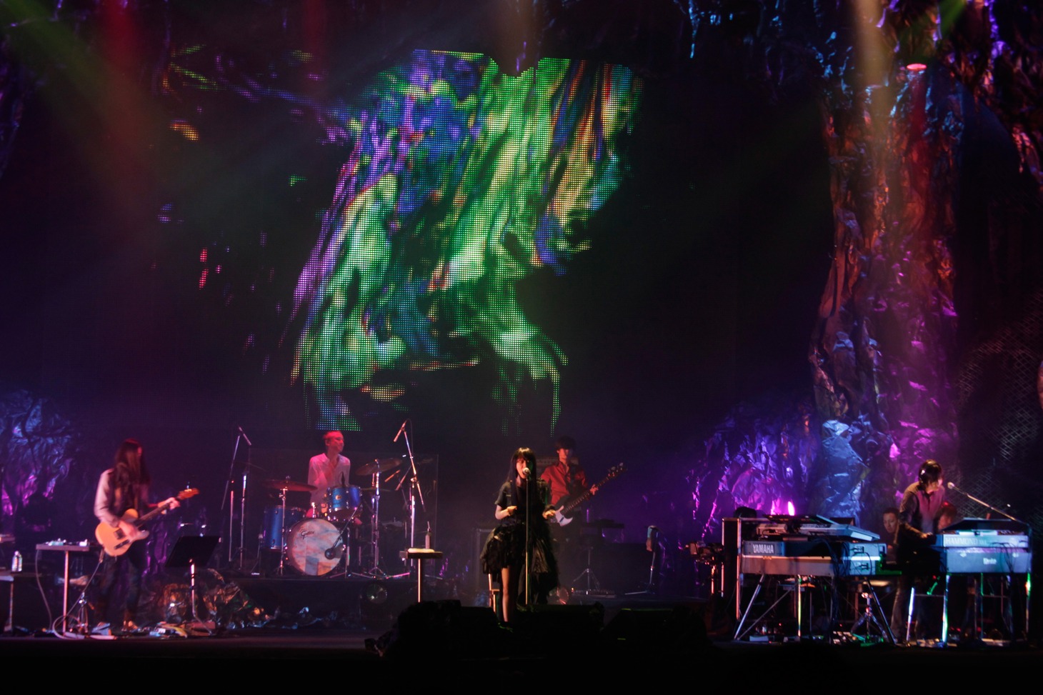 写真は「Lily Chou-Chou 2010.12.15 Live“エーテル”」の模様（Photo by Yoshie Tominaga）。