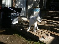 カイトくん（写真は「愛と星」ビデオクリップ撮影中の様子）。