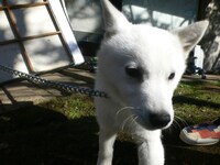 カイトくん（写真は「愛と星」ビデオクリップ撮影中の様子）。