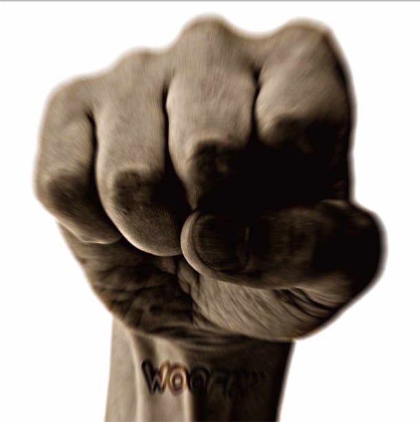 ミックスCD「WOOFIN' Presents 勝ちウタ Mixed by DJ AGETETSU」のジャケット。