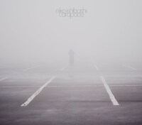 石橋英子のアルバム「carapace」のジャケット。