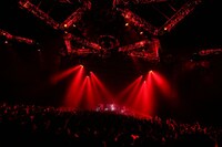 凛として時雨（撮影：橋本塁）