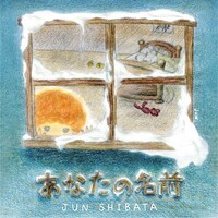 柴田淳描き下ろしの配信限定シングル「あなたの名前」ジャケット。