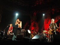 ザ・クロマニヨンズ