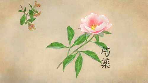 「薬用養命酒」テレビCMのワンシーン。