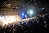 ミドリ(写真:五十嵐絢也)
