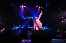 LOW IQ 01 & MASTER LOW