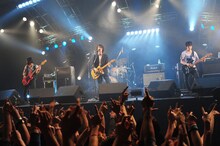 NICO Touches the Walls