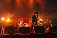 フラワーカンパニーズ