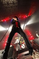 黒猫チェルシー