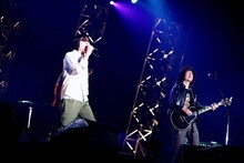 真心ブラザーズ