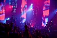 ストレイテナー