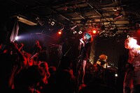 女王蜂（撮影：Ohagi）