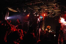 女王蜂（撮影：Ohagi）