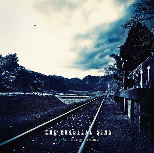 アルバム「青い鳥～期待の無い朝希望は降る～」のジャケット。