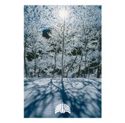 写真はシングル「空が鳴っている／女の子は誰でも」ジャケット。